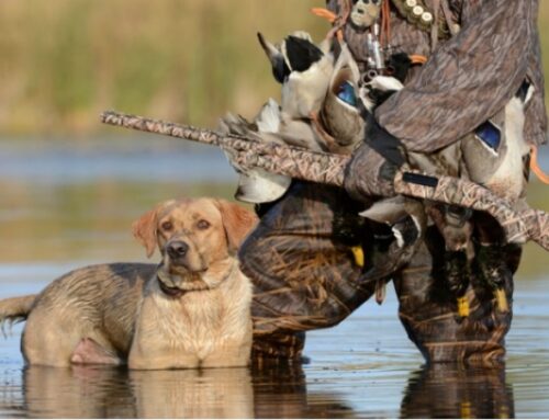 How to Make Your Own Brand Duck Hunting Clothing?