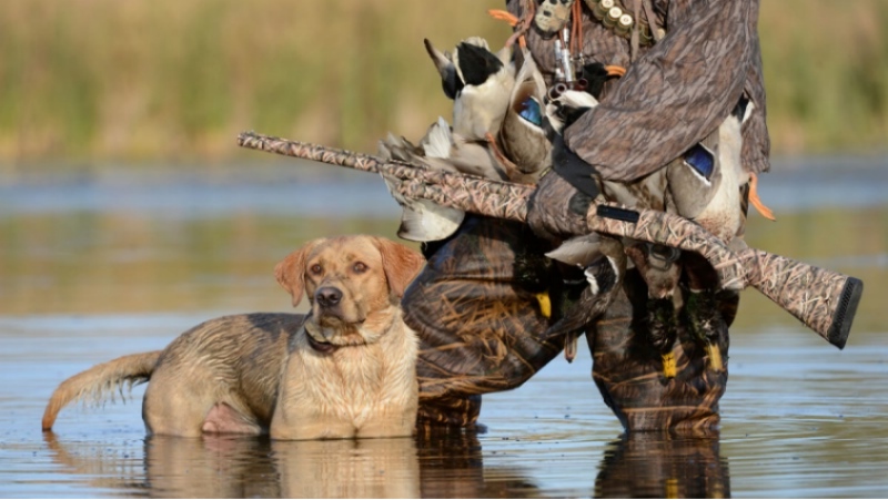 Duck Hunting Clothing