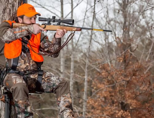 What Are the Advantages of Upland Hunting Vest?