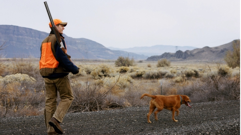 men's upland hunting vest