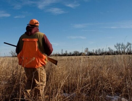 How To Choose the Right Upland Hunting Vest