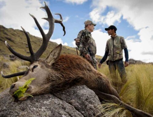 What Are The Advantages Of Big Game Hunting Clothing?